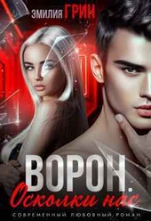 Обложка книги Ворон. Осколки нас (СИ)