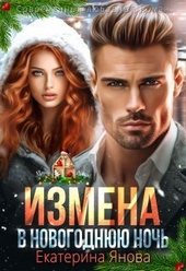 Обложка книги Измена в новогоднюю ночь (СИ)