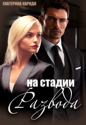 Обложка книги На стадии развода