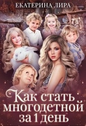 Обложка книги Как стать многодетной за один день