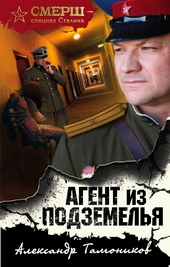 Обложка книги Агент из подземелья