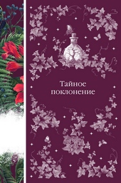 Обложка книги Тайное поклонение
