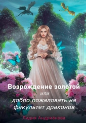 Обложка книги Возрождение золотой, или Добро пожаловать на факультет драконов