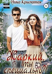 Обложка книги Жаркий, ты специально?!