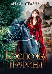Обложка книги Госпожа графиня